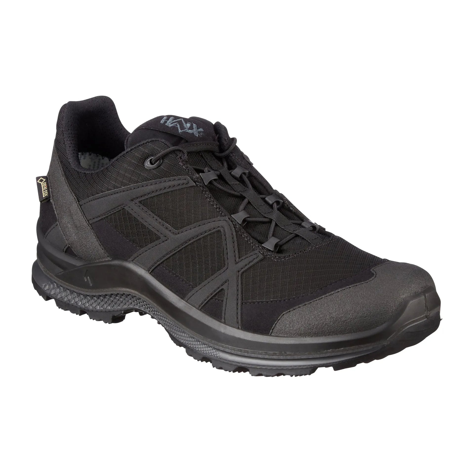 Funktionsschuh Black Eagle Athletic 2.1 GTX Low