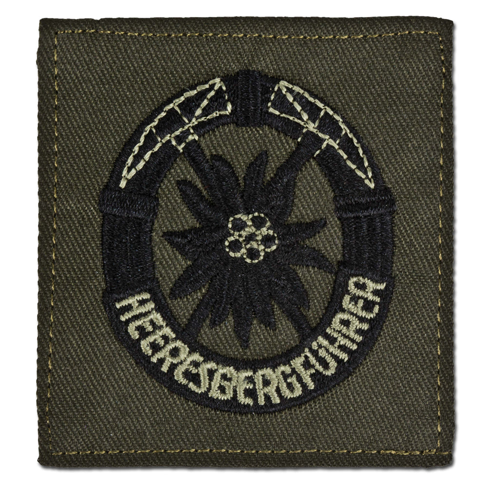 Abzeichen BW Heeresbergführer